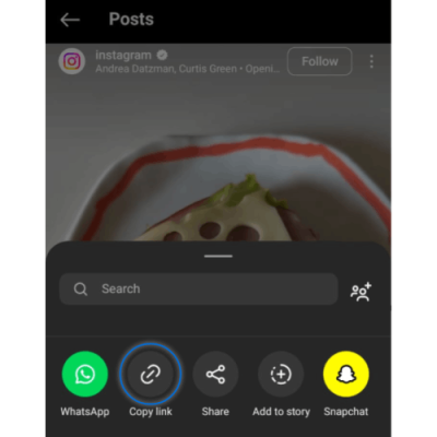 Copiați linkul video Instagram